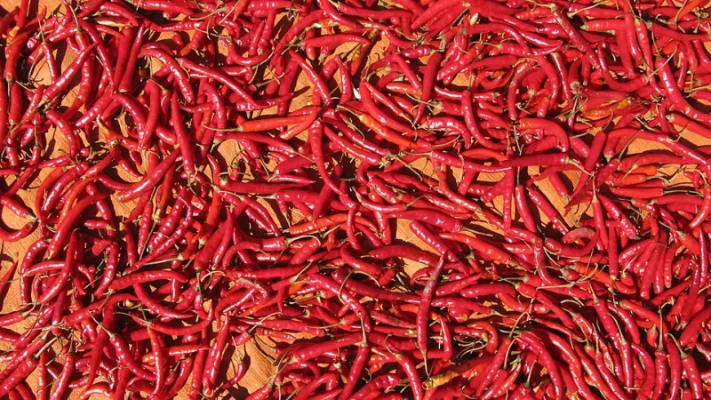 From the Pepper Field to Aisle 7: Decoding the Journey of That $3.99 Jar
